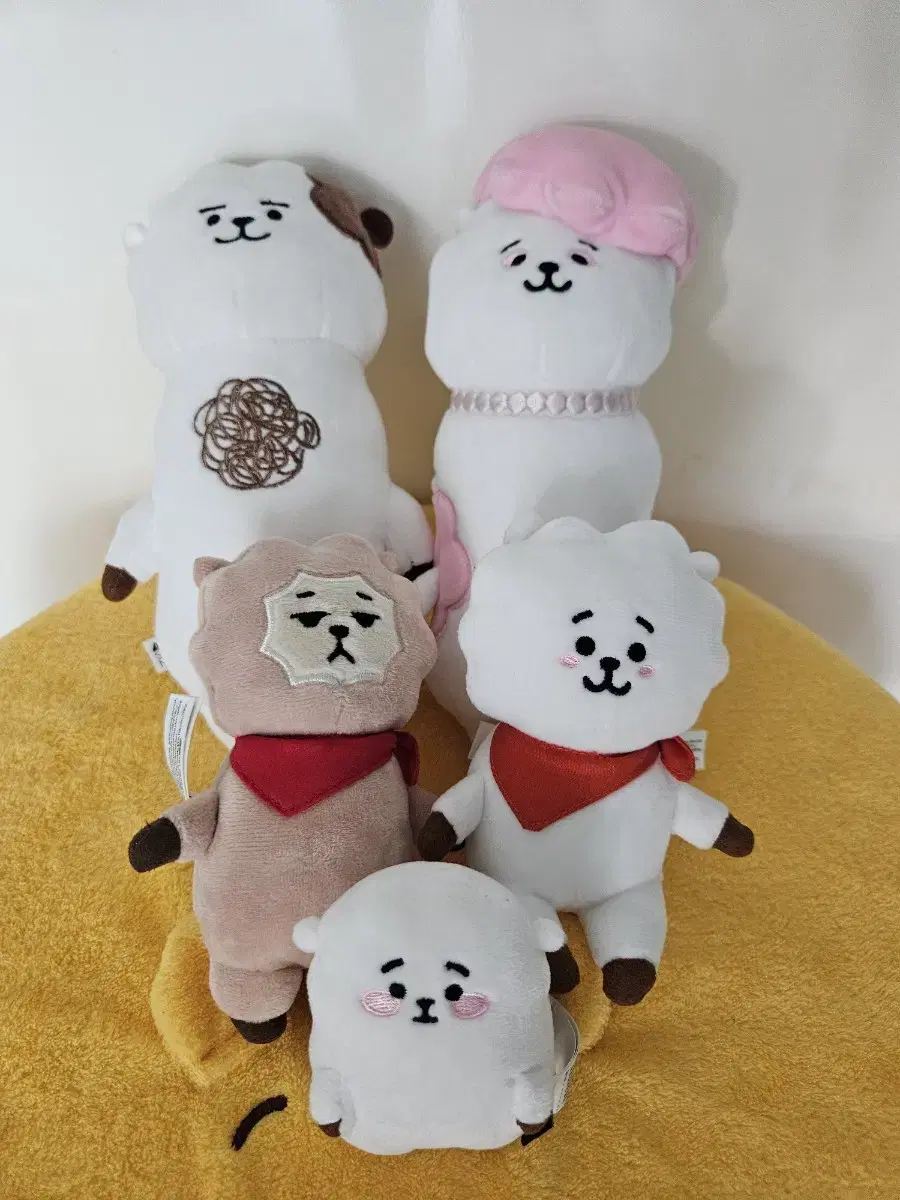 BTS BT21 알제이 5식구들